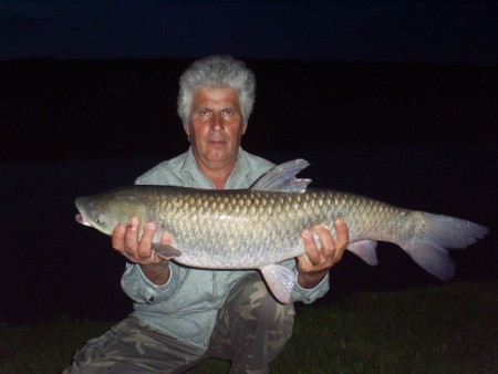 éjféli 8-80-as amur